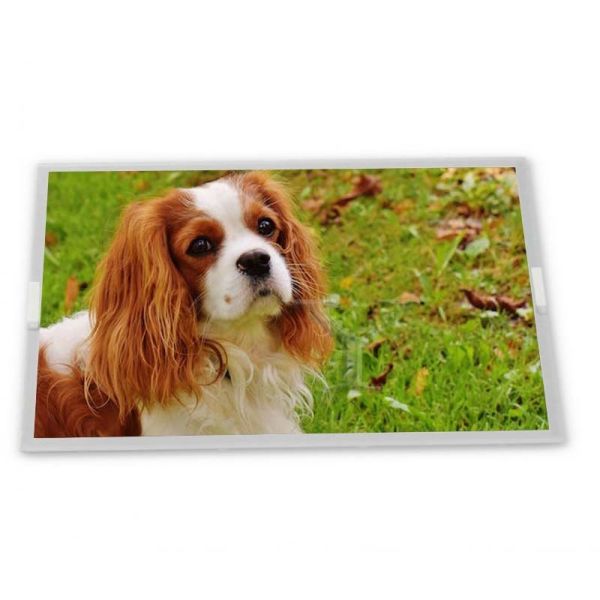 High Quality  LQ070Y3LG05A Stock LCD Modules Display From Quality Suppliers