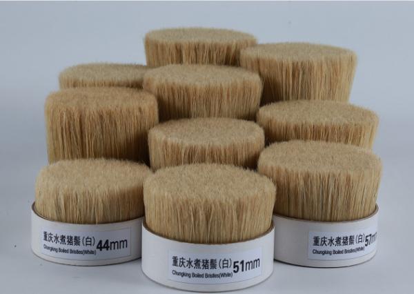 Boiled Bristles
