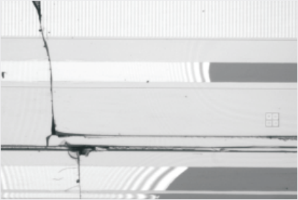 WD 30mm~∞ 5MP 8mm исправило объективы F2.8~F16 0.12kg фокусного расстояния