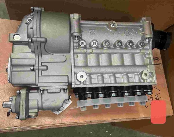 VG1560080023 Assemblage de pompe à injection de carburant Parties de moteur Weichai