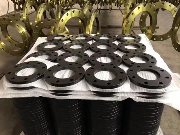 ANSI B16.5 Stainless Steel 304 316 304L 316L Welding Neck Flange A105 Black Paint
