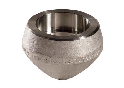 Branch Outlets Forged Stainless Steel Pipe Fittings Elbolet Threatolet Nipolet  Chemical Resistance