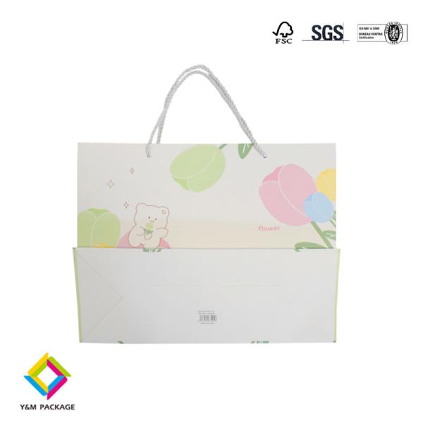 Clothing Paper Bag Custom Printed Takeaway Shopping Paper Bag Craft Paper Gift Bags