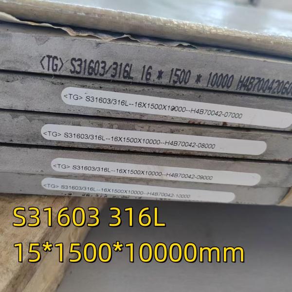 DIN1.4404 Standard Hot Rolled AISI 316L Stainless Steel Plate 40*3100*8900MM SGS Certification