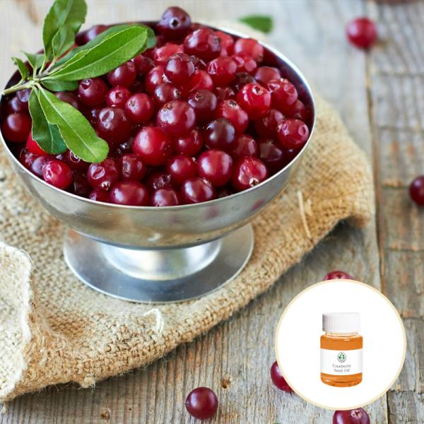 OEM ODM Welcome Massage Essential OIls Organic Cranberry Seed Oil