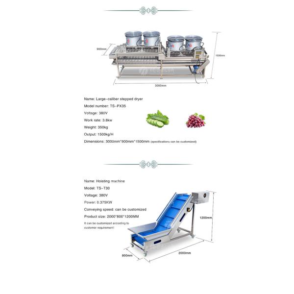 Машина 1500KG/H пузыря ролика шерстей фрукта и овоща очищая