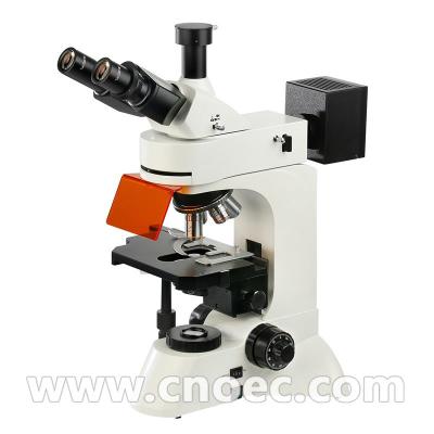 Microscópio de fluorescência 40x do plano da infinidade de Trinocular - 1000x A16.0207