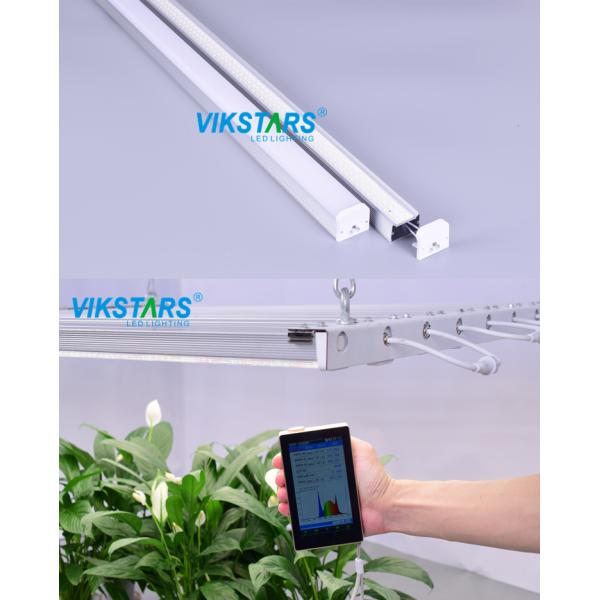 семя 480W 50Hz начиная завод СИД растет белизна светов CRI80 Milky