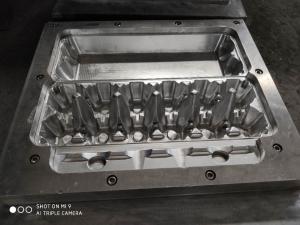 10の穴の卵のカートンは型ペーパー パルプの機械類のためのダイ カストのパルプ