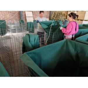 Zn Coated Military Barrier 4mm-5mm Spiral with 2mm Polypropylene