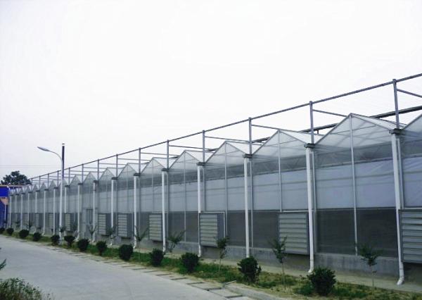 Agricultural Tomato Plant Greenhouse Covers Hollow PC Board For Against External Damage