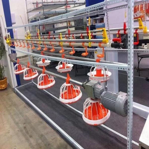 Automatic Animal Feeders Poultry Farm Feeding Line Chicken Feeding and Drinking System
