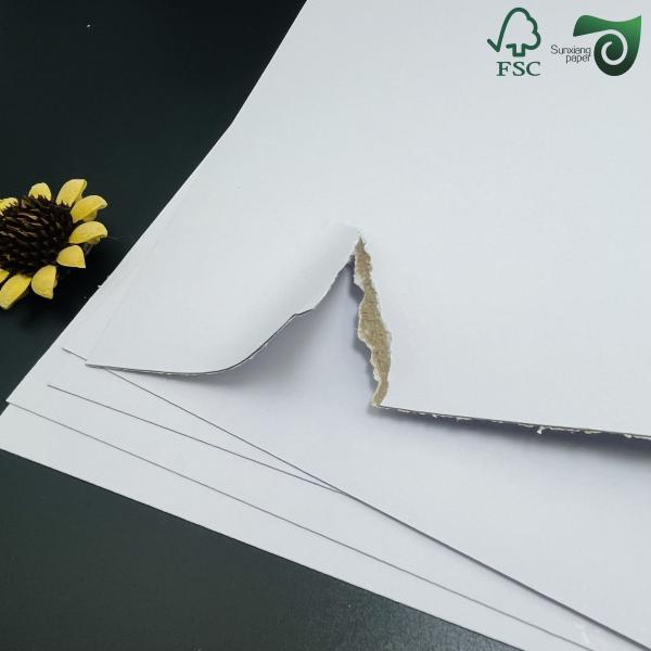 31'' 43'' Thick 0.7mm 0.8mm 1.0mm Double Sided White Coated Duplex Board