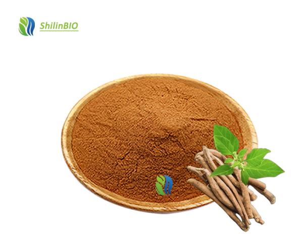Ashwagandha Root Extract 5% Withanolide
