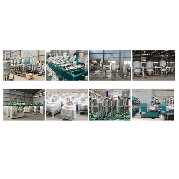 10TD Palm Oil Production Processing Line Cooking Oil Pressing Production Line Oil Pressers