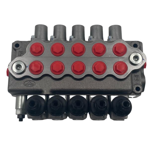 Hydraulic Pressure Control Valve P80 for Mechanical Parts SD5/5-P KG-160 in Wolfo