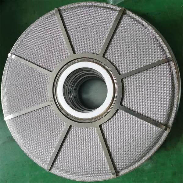 Biaxially Oriented Film Leaf Disc Filter