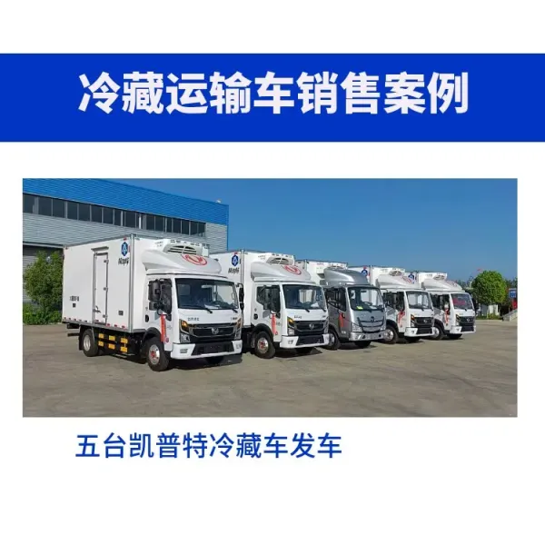 Isuzu Pickup Refrigerated Truck for Fresh Cargo Transport