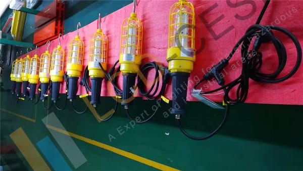 Zone 1 IP68 LED Flood Light