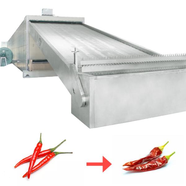 Fruit Category Mesh Belt Drying Equipment Maintain High Quality Drying