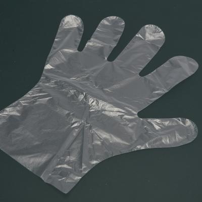 Multipurpose HDPE Transparent Food Safe Plastic Gloves For Food Handling And Cleaning Summer Season