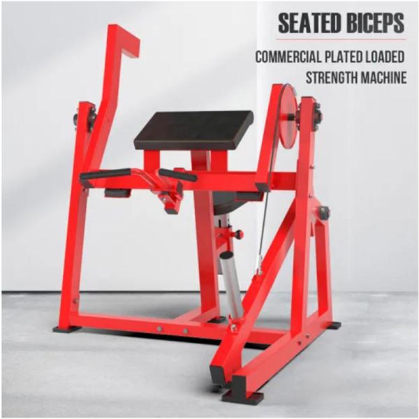 Plate Loadable Hammer Strength Seated Dip Machine OEM ODM