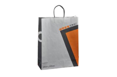 Fashinable paper bag 02