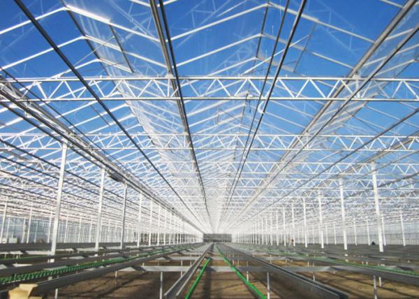 Single Layer Glass Venlo Type Greenhouse Equipped With Hydroponic Technology