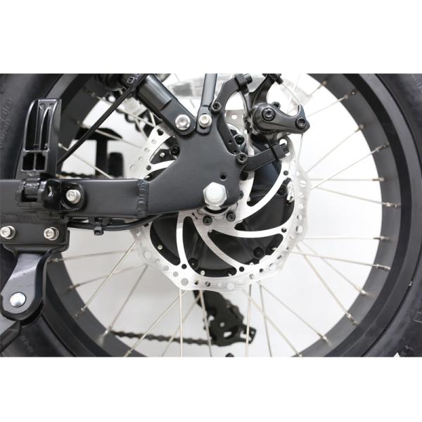 Rear Hub Motor Braking System 20 Inch 1000w High Power Electric Fatbike for Adults