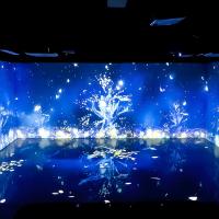 Décoration des pièces Musée d'art numérique Exposition Projecteur de cartographie immersive 3d