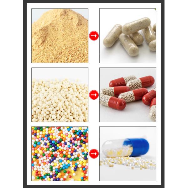Foodstuff 3 Mould Bores Hard Gelatin Capsule Filler PLC Control