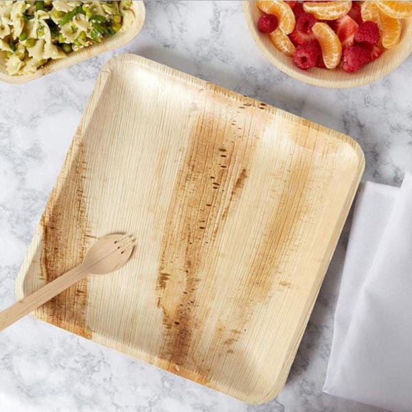 6 дюймов 8 дюймов плиты лист ладони ареки 10 дюймов устранимые