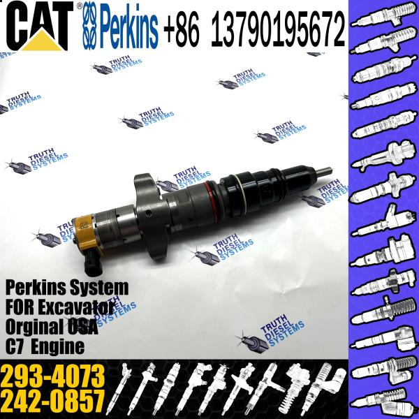 Diesel Engine Perkins Diesel Injector 293-4073 293-4073 Cat C9 Injector 324D 325D
