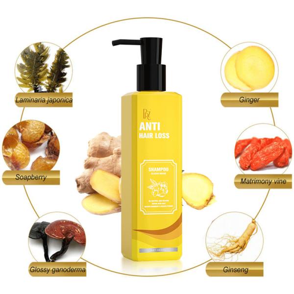 Stop Hair Loss Old Ginger Hair Growth Shampoo Anti Microbica Action