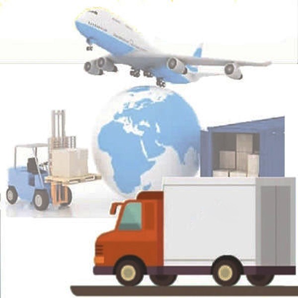 50pcs/Box Fixed Set High School OEM Biological Slides For Teaching