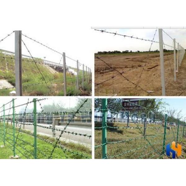 Green Security Barbed Wire Roll Coil Protection For Grass Boundary