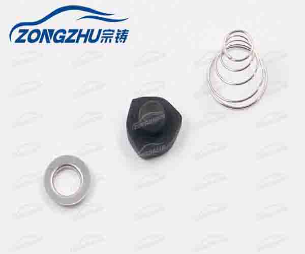 Wabco Air Compressor Pump Repair Kit Resistance Spring Rubber Set A2203200104 A2113200304