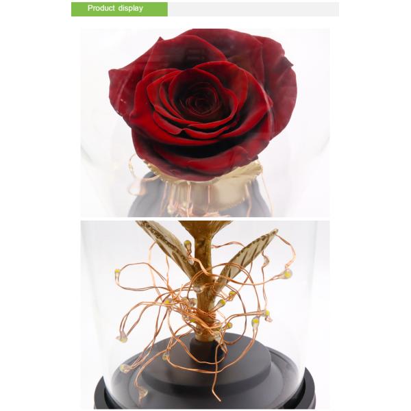 Вечным Хандмаде купол сохраненный дизайном розовый стеклянный с диктором Блуэтоотх