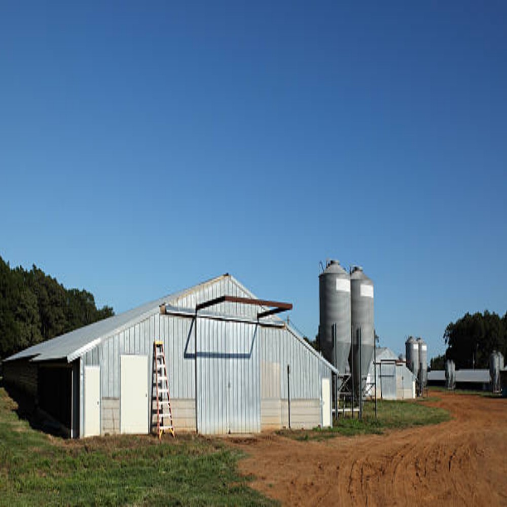Corrosion Resistant Pre-Engineered Steel Structure Poultry House with 20-30 Years Service Life and Optional Heating and Cooling Systems