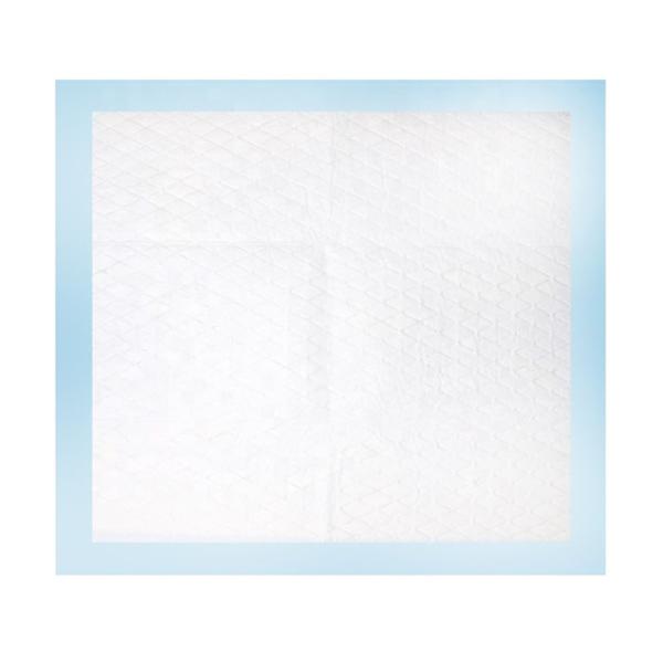 Anti Leak 20g Blue Disposable Medical Underpads Breathable