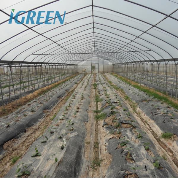 Large IGreen Agricultural Greenhouses Materials Shade Cloth Greenhouse with No Roof Vent