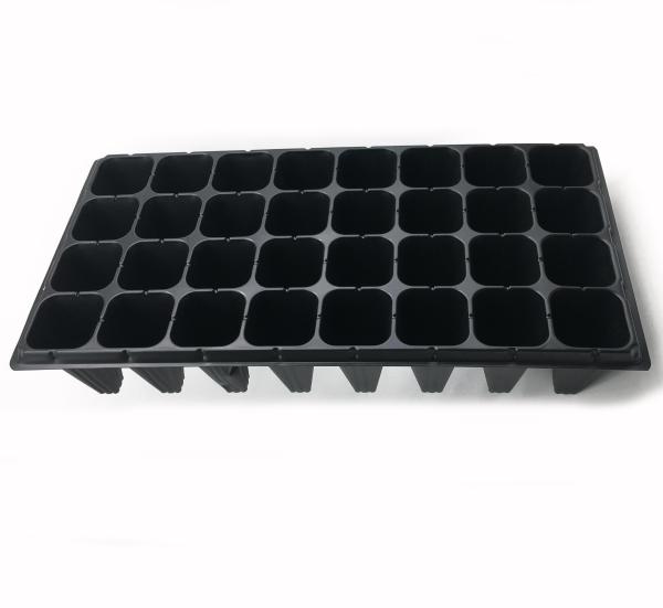 50 holes high quality forest seedling tray big cell size