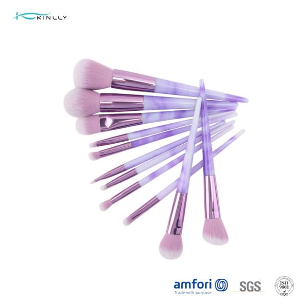 Brosse de lecture de la meilleure qualité de maquillage du sac 11pcs 100g d'unité centrale de BSCI