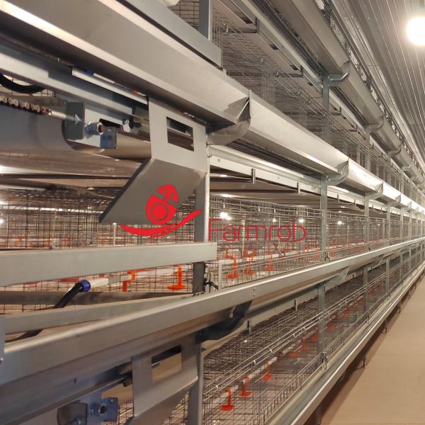 Optimal Growth of Pullets Poultry Battery Cage System for Pakistan Farms