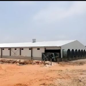 Portal Frame Poultry House Q235B Q355B ASTM A36 Earthquake Resistant