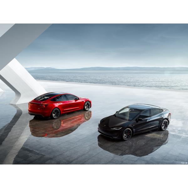 Pure Electric Model3 556km Rear Wheel Drive with 2875mm WHEELBASE