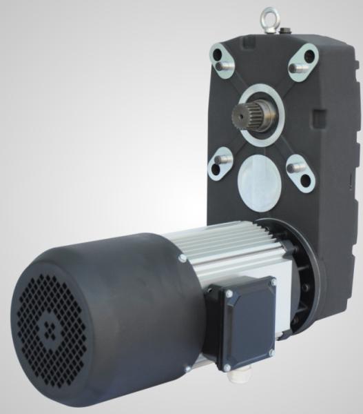 European high speed electric hoist