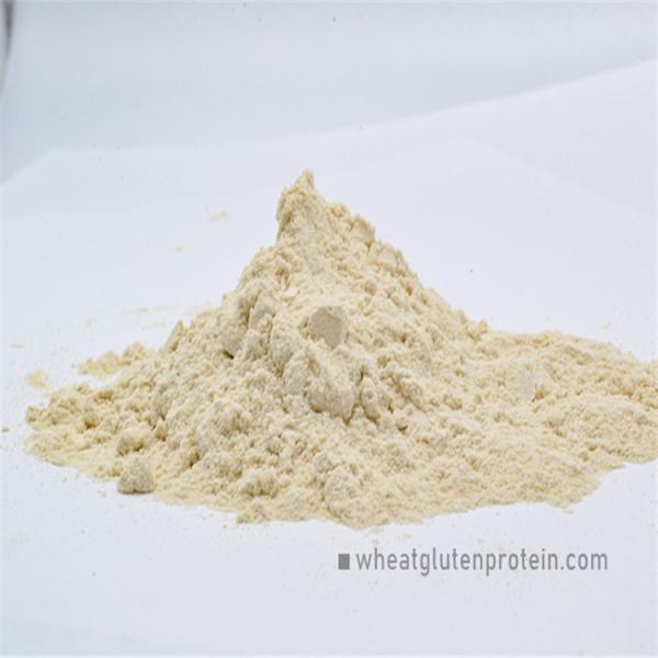 Prolong Bread Aging Time CAS 8002-80-0 Vital Wheat Gluten