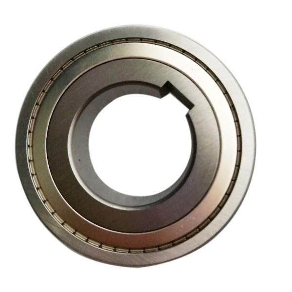 Cam Clutch (BB17-1K-K, BB17-2K-K, BB-2GD/BB-2GD1K-K /2K-K) one way ball bearing