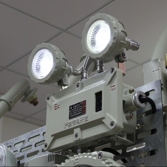 2x3W Explosion Proof LED Emergency Exit Light with Rechargeable Battery